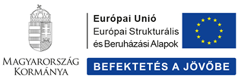 Projekt képe